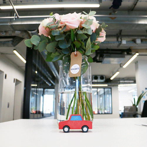 stop-motion present flower wedding bergamotte drivy